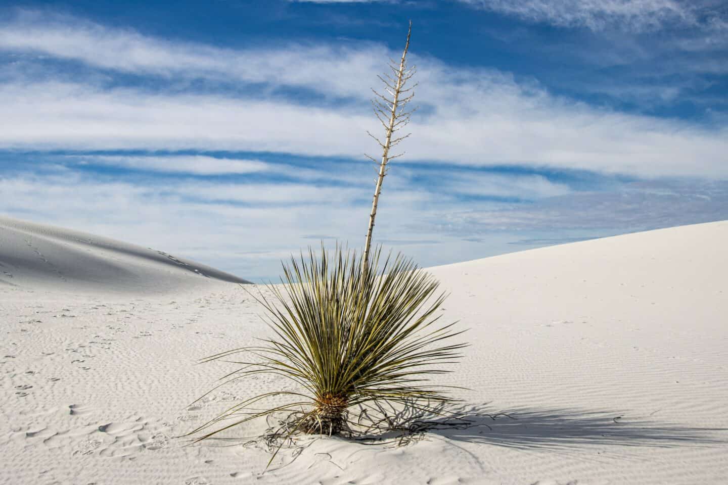 White Sands National Park | Camping Out West