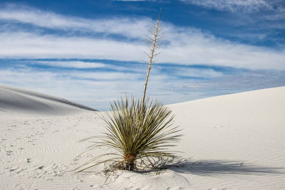 White Sands National Park | Camping Out West