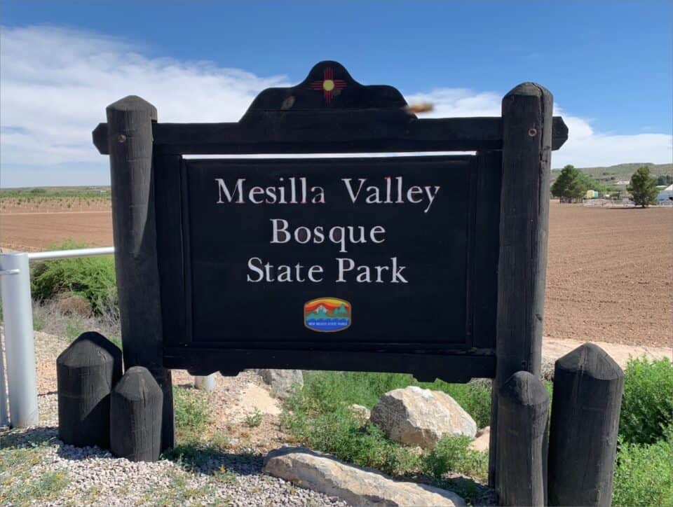 Located in the Mesilla Valley, Mesilla Valley Bosque State Park offers a serene escape for nature enthusiasts. The state park features diverse wildlife and lush vegetation, making it an ideal destination for birdwatch