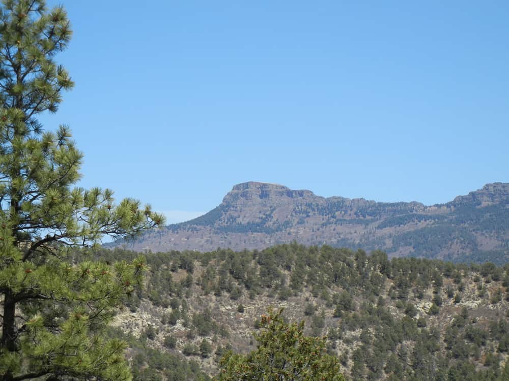 A view of Fishers Peak State Park with pine trees in the background.