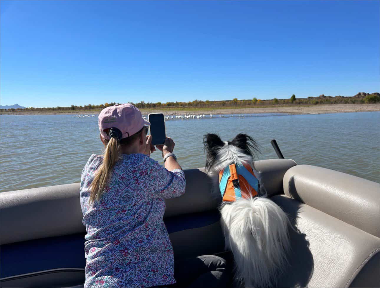 A woman is capturing a photo of her dog while boating on a lake in New Mexico