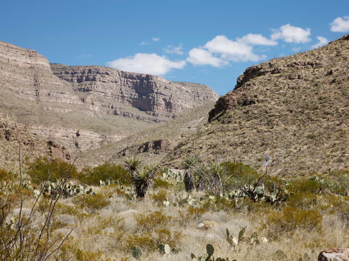 Located in Oliver Lee Memorial State Park, this desert landscape features cactus plants and mountains.